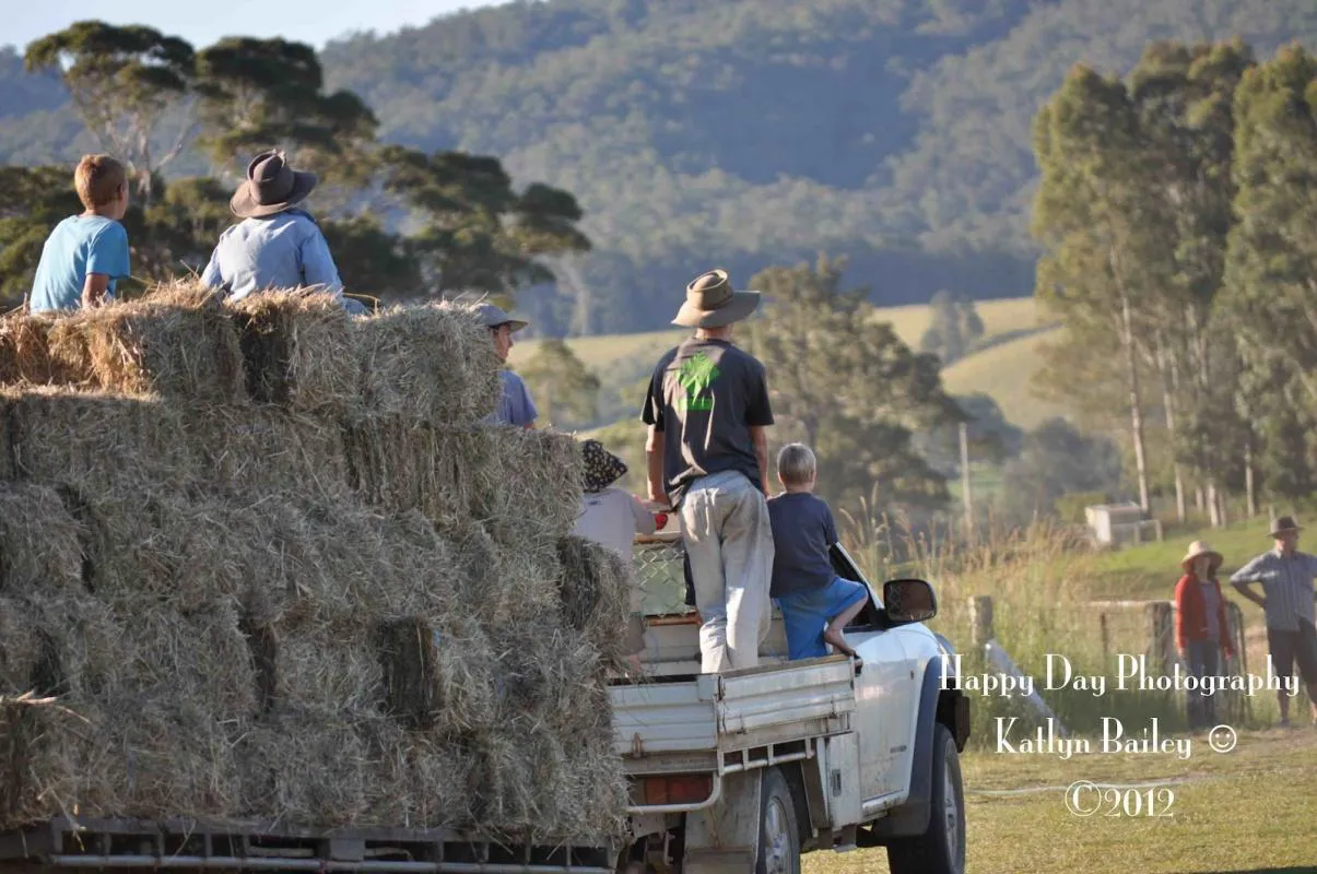 Making-Hay-While-the-Sun-ShinesUqsh0p9ktQ-large.jpg